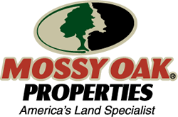 Pamela Welch : Mossy Oak Properties Strawberry River Land and Homes