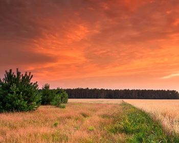 Conducting Due Diligence on Rural Home Sites