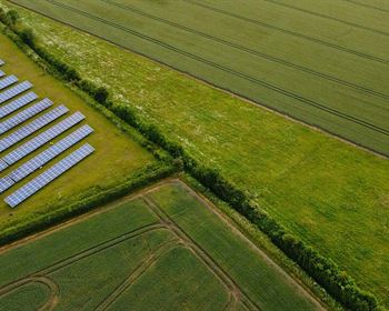 Pulse: Farmers Should Be Allowed to Lease Their Private Land for Solar Energy