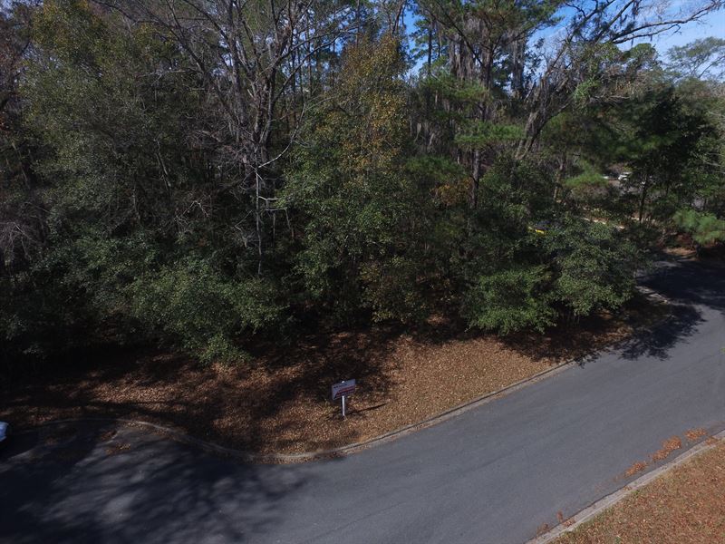 Land for Medical Development, Cp : Tallahassee : Leon County : Florida