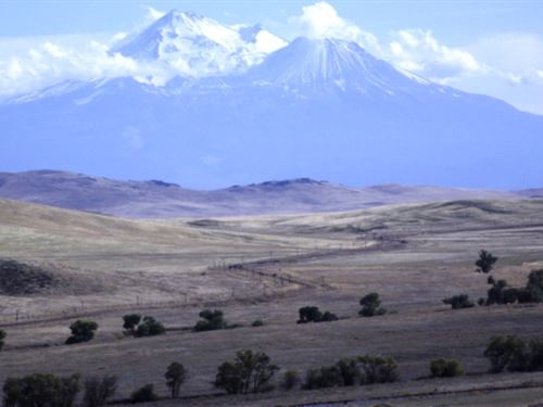 Mount Shasta Estate : Montague : Siskiyou County : California
