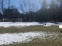 Wooded Tract in a Nice Neighborhood : Sparta : Alleghany County : North Carolina