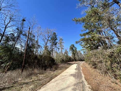 .31Ac Wooded Lot, Water & Elec : Ivanhoe : Tyler County : Texas