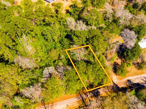 .18Ac Lake Access Water & Elec Rd : Woodville : Tyler County : Texas