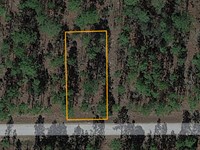 Beautiful, Flat, and Near Water : Dunnellon : Marion County : Florida