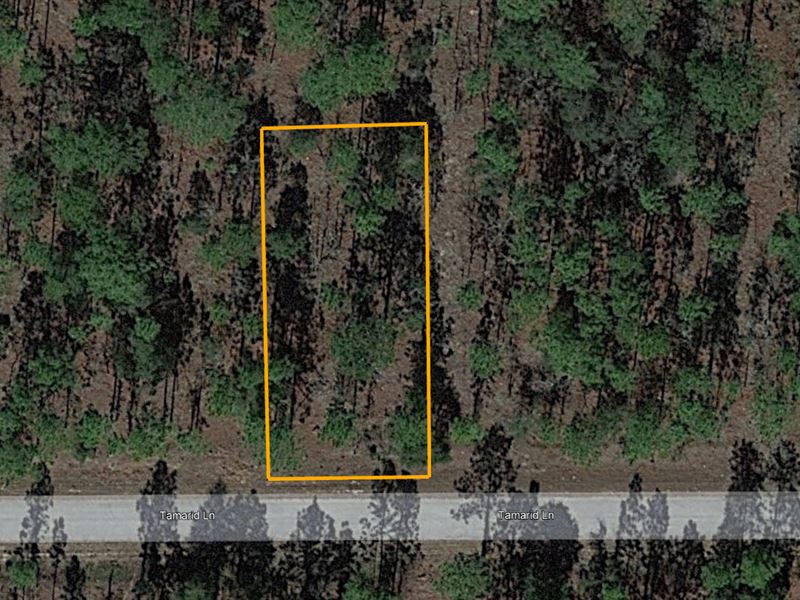 Beautiful, Flat, and Near Water : Dunnellon : Marion County : Florida