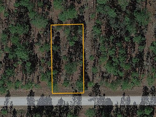 Beautiful, Flat, and Near Water : Dunnellon : Marion County : Florida
