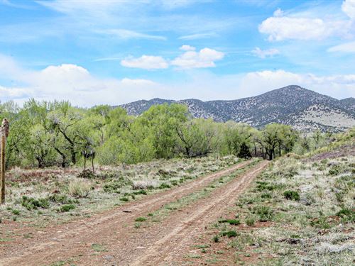 .2Ac River Access & Mountain Views : La Jara : Conejos County : Colorado