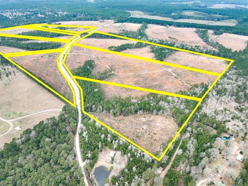16 Acres, Paces Creek T-3A : Moscow : Polk County : Texas