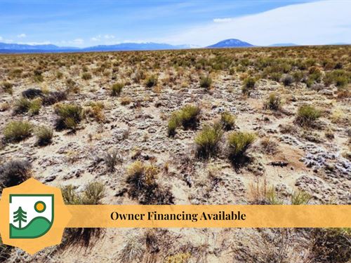Hunting Land with Great Views : San Acacio : Costilla County : Colorado
