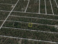 .24 Acre Off Hemlock Ave : Dunnellon : Marion County : Florida