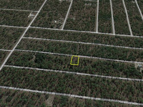 .24 Acre Off Hemlock Ave : Dunnellon : Marion County : Florida