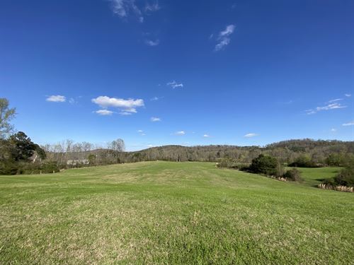 Tract 2, Farm House Community : Springville : Saint Clair County : Alabama