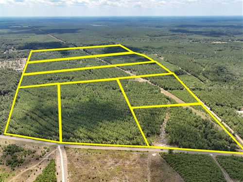 17 Acres, CR 1420 & CR 1325 T-14 : Warren : Tyler County : Texas