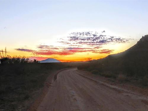 Own 20 Acs. for $0 Down Today : Sierra Blanca : Hudspeth County : Texas