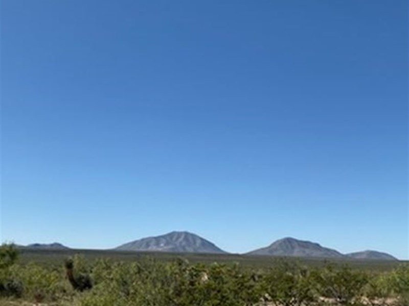 Perfect Homestead, 20 Ac $0 Dn : Sierra Blanca : Hudspeth County : Texas