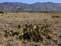 5 Acres Near Manzano Peaks : Rio Communities : Valencia County : New Mexico