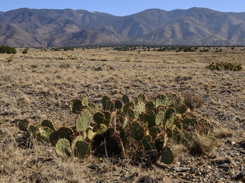 5 Acres Near Manzano Peaks : Rio Communities : Valencia County : New Mexico