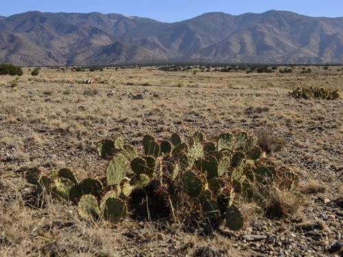 5 Acres Near Manzano Peaks : Rio Communities : Valencia County : New Mexico