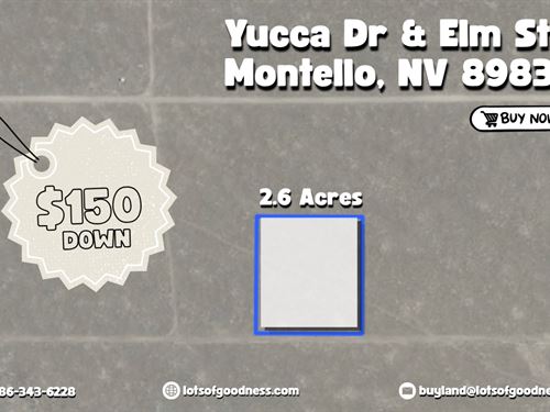 2+ Acre on Yucca Dr in Elko County : Montello : Elko County : Nevada