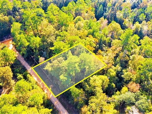 .29 Acre TX Double Lot Near Lakes : Livingston : Polk County : Texas