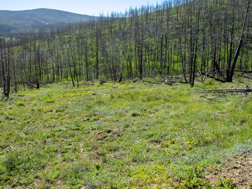 2.22 Acres CO Land, Mountain View : Fort Garland : Costilla County : Colorado