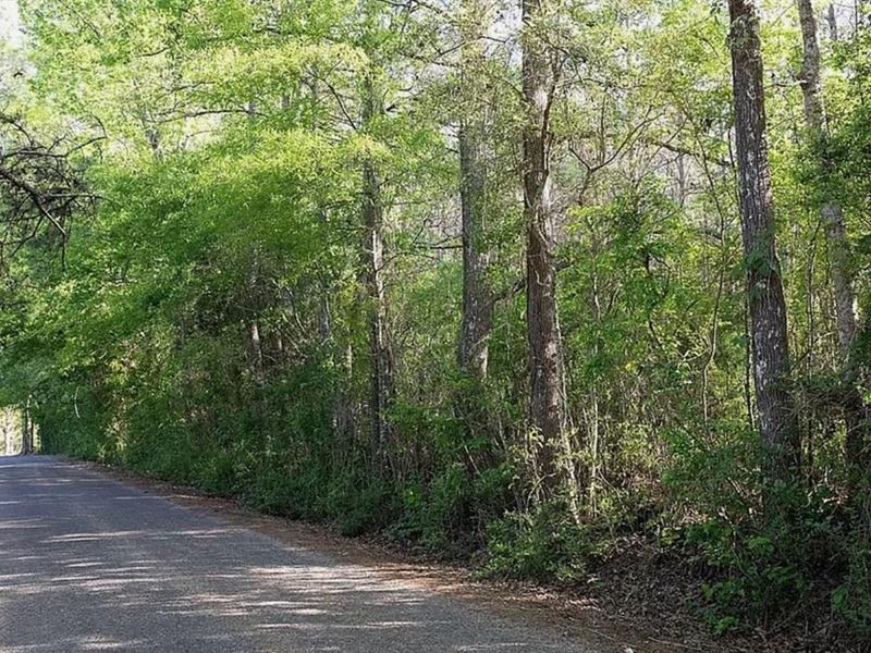 1 Acre Lot for Sale in Lincoln Coun : Ruth : Lincoln County : Mississippi