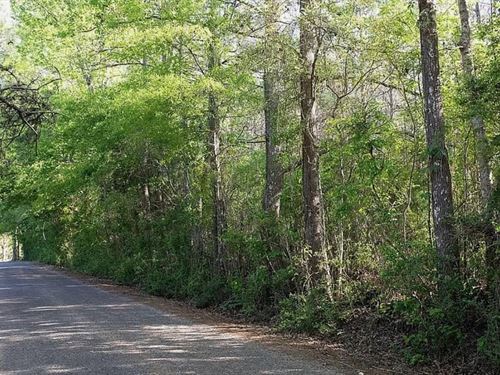 1 Acre Lot For Sale in Lincoln Coun : Ruth : Lincoln County : Mississippi