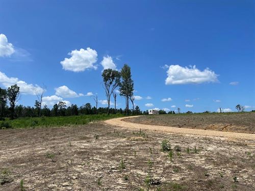 MT Hermon 20 Acres For Sale : Mount Hermon : Washington Parish : Louisiana