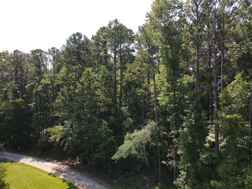 Tranquility in Forest Lakes : Lincolnton : Lincoln County : Georgia