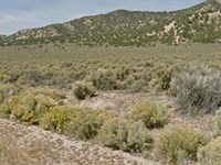 Mtn Views Near Ft Garland and Power : Fort Garland : Costilla County : Colorado