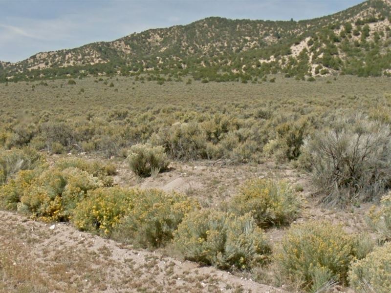 Mtn Views Near Ft Garland and Power : Fort Garland : Costilla County : Colorado
