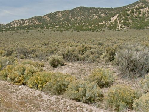 Mtn Views Near Ft Garland and Power : Fort Garland : Costilla County : Colorado