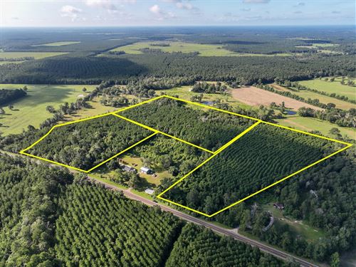 14 Acres, T-4 CR 517 287052 : Mount Union : Jasper County : Texas