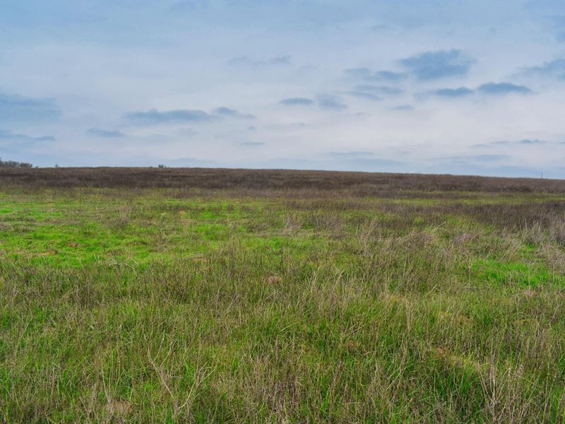 1.75 Acres Near Austin : Kingsbury : Guadalupe County : Texas