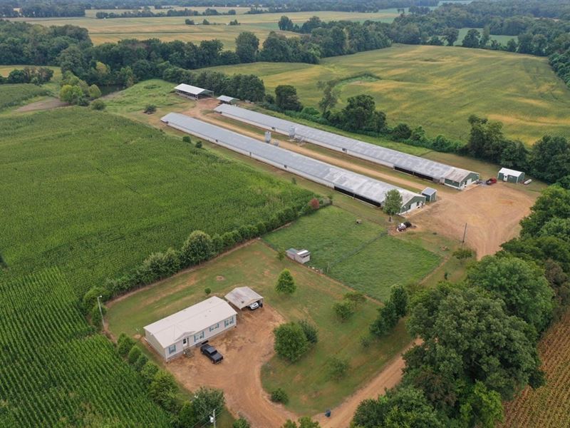 Nerdz Breeder Farm : Troy : Obion County : Tennessee