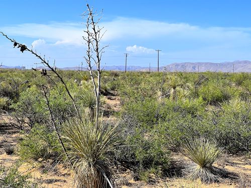 Adventure Lot Recreational Paradise : El Paso : Texas