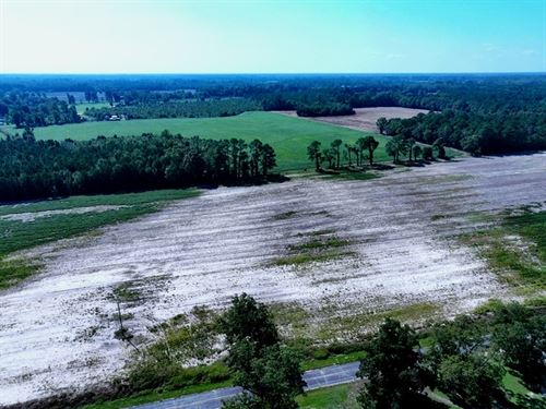 Large Rural Residential Lot : Fairmont : Robeson County : North Carolina