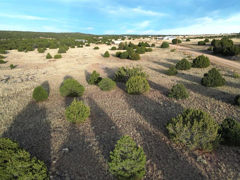 Shawnee Circle L67& 68 F4, Wals : Walsenburg : Huerfano County : Colorado