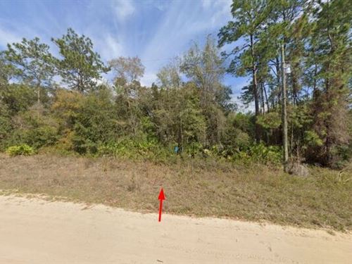 An Investment Property Only $291/Mo : Interlachen : Putnam County : Florida