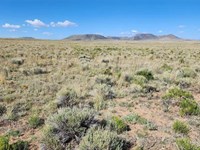 Blissful Rio Grande.21-Acre Lot 934 : Antonito : Costilla County : Colorado