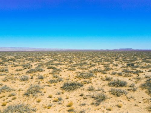 Report for Duty at Fort Bliss : Van Horn : Culberson County : Texas