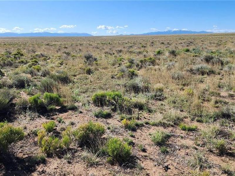 Tavaputs Trail Rio Grande : Antonito : Costilla County : Colorado