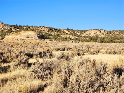 Spacious Desert Living : La Jara : Sandoval County : New Mexico