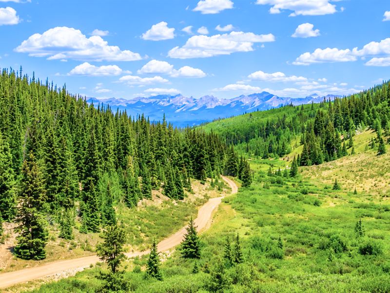 Secluded 10 Acre Mountain Getaway : Gunnison : Gunnison County : Colorado
