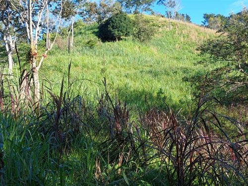 Beautiful Farm in Puriscal : Costa Rica
