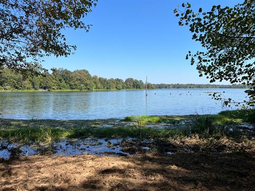 Black Warrior Bay Lot : Sawyerville : Hale County : Alabama