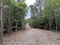 Fantastic Homesite : Waverly Hall : Talbot County : Georgia