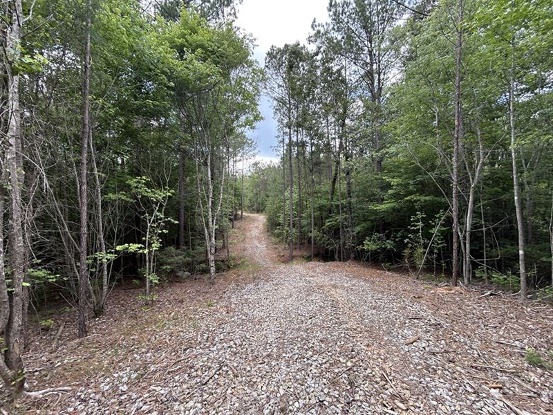 Fantastic Homesite : Waverly Hall : Talbot County : Georgia