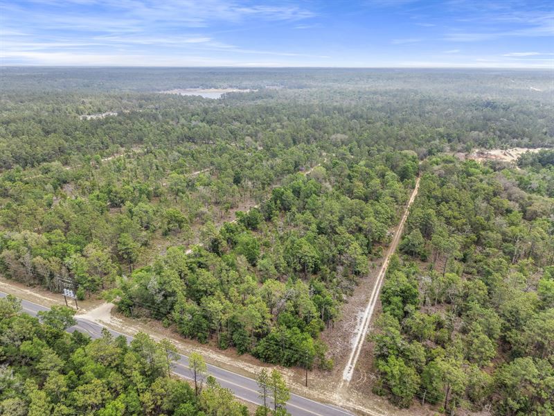 Ideal FL Build Land, $382/Mo : Hawthorne : Putnam County : Florida